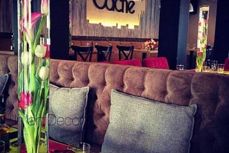 restoran cache nova godina 5