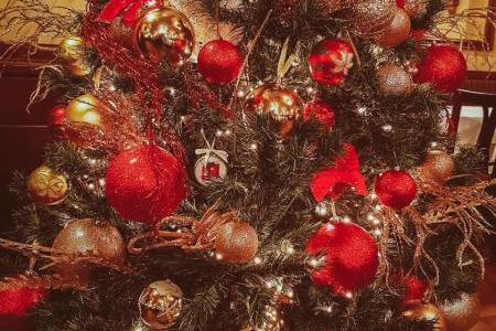 restoran savski venac docek nove godine 62