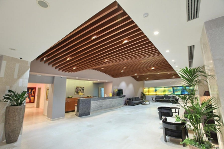 hotel mona zlatibor docek nove godine 1