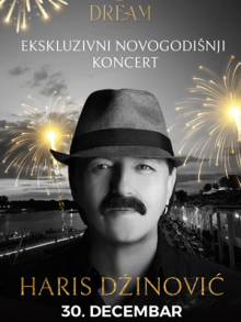 the dream haris dzinovic