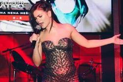 naslovna za stil milice pavlovic