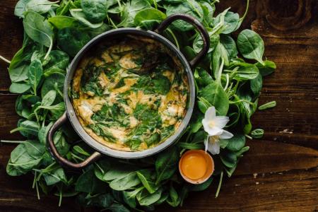 frida beton hala hrana 2