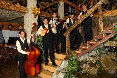 restoran kafana srpska brvnara 7