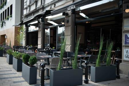 kolonija gastro pub 2